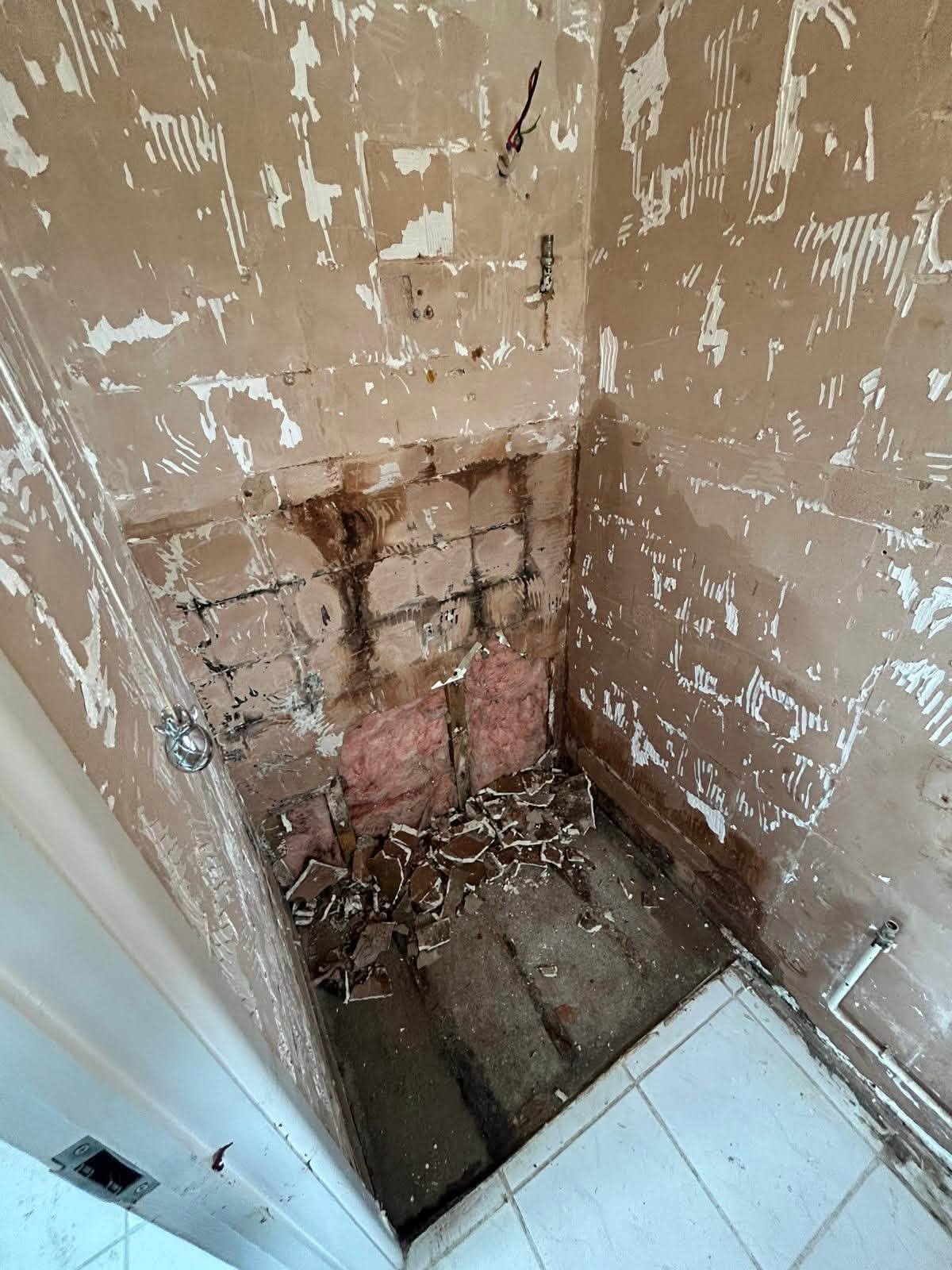 Stripped bathroom walls during renovation preparation